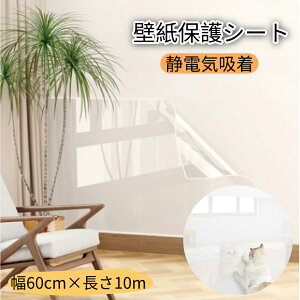 ǎیV[g L ÓdCz  ǉh~V[g ǕیV[g hh \₷ L ܌h~V[g Lb` ǎ h~V[g ΍ ǂ̏ h~