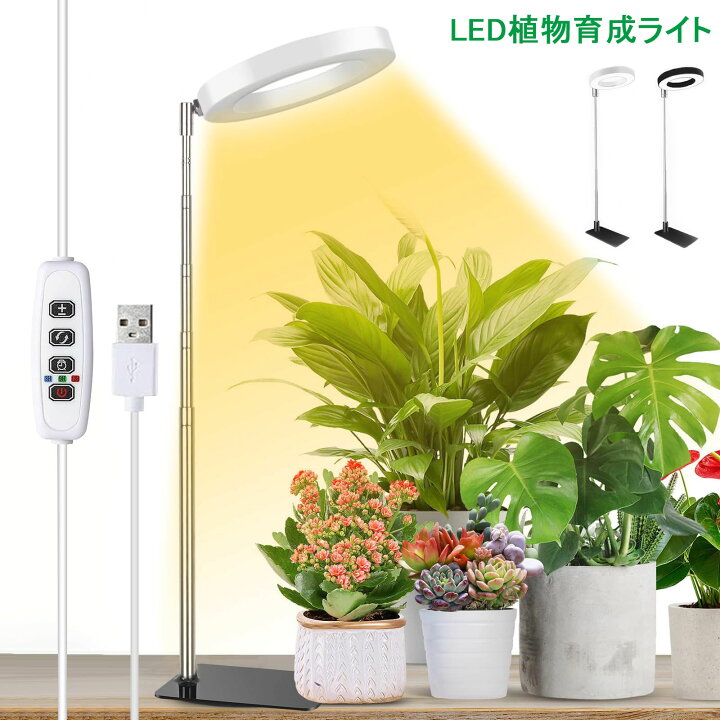 楽天市場】＼P5倍！7/4 20:00〜マラソン限定／【当日出荷】2way 植物 