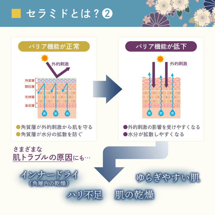 楽天市場】【2個セット】ヒト型セラミド クリーム 顔フェイス用