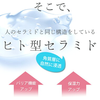 楽天市場 ヒト型セラミド クリーム 顔フェイス用 夜用 30g 送料無料 あす楽 しみこみクリーム 保湿クリーム 日本製化粧品専門店 つむぎコスメ