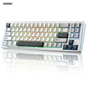 �y���������zAL71 ���J�j�J���L�[�{�[�h 68% �R���p�N�g �t���A���~CNC���H �K�X�P�b�g�\�� [Bluetooth/2.4G/USB-C �O���[�h�ڑ�] �z�b�g�X���b�v�Ή� NKRO RGB�o�b�N���C�g Win/Mac���Ή� �Z�K�F�؍ς� 