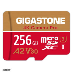�y���������z�}�C�N��sd�J�[�h 256GB 4K Camera Pro microSDXC UHS-I A2 V30 U3 C10 100MB/s Ultra HD 4K �r�f�I�^�� Gopro �C���X�^360 �A�N�V�����J���� �X�|�[�c�J���� SD�A�_�v�^�[1���t��