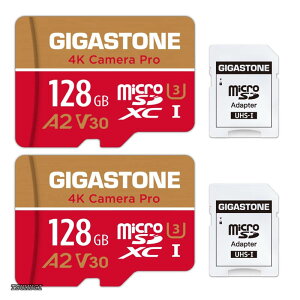 �y���������z�}�C�N��sd�J�[�h 128GB 2�Z�b�g 4K Camera Pro microSDXC UHS-I A2 V30 U3 C10 100MB/s Ultra HD 4K �r�f�I�^�� Gopro �C���X�^360 �A�N�V�����J���� �X�|�[�c�J���� SD�A�_�v�^�[2���t��