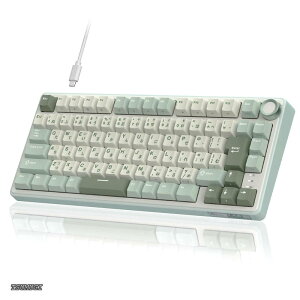 �y���������zROYAL KLUDGE R75 ���J�j�J���L�[�{�[�h �L���b���{��z��b�{�����[���m�u���ځb�Q�[�~���O�L�[�{�[�h 75%�J�X�^���b�K�X�P�b�g�}�E���g�\��?RGB�o�b�N���C�g?�\�t�g�E�F�A�Ή��bC