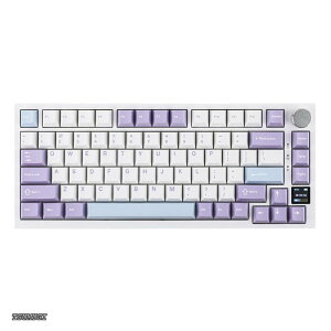 �y���������zAjazz AK820 Pro �Q�[�~���O�L�[�{�[�h 75% �K�X�P�b�g���� ���J�j�J���L�[�{�[�h TFT�X�N���[�� 3���[�h(Bluetooth 5.1/2.4G���C�����X&Type-C�L��) �����t�H�[������ (White Purple - OEM Profile Aja