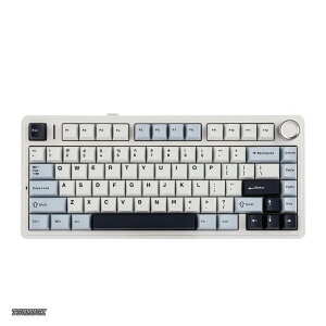 �y���������zx Aula F75 �Q�[�~���O�L�[�{�[�h �K�X�P�b�g ���J�j�J���L�[�{�[�h 5�w�p�b�h���m�u�t�� 75% ���C�����X �z�b�g�X���b�p�u�� Bluetooth/2.4GHz/USB-C RGB �Z�K�F�؎擾 (Light Blue LEOBOG Reaper 