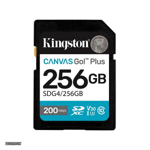 �y���������z256GB SDXC Canvas Go Plus Gen4 200MB/�b C10 UHS-I U3 V30 SDG4/256GB