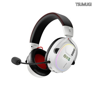 �y���������zStorm G2 ���C�����X�Q�[�~���O�w�b�h�Z�b�g�A7.1�o�[�`�����T���E���h�T�E���h�A3 EQ���[�h�A2.4G��x���A50mm�h���C�o�[�A40H�v���C�^�C���ARGB���C�g�ABluetooth 5.3�APC�A�R���\�[��