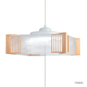 �y���������z�z�^���N�X�iHotaluX�j LED�a���y���_���g���C�g �����^�C�v~8�� HCDB0862