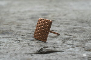 Ζڊp^e/ނ AeB[NiƋ DIY AeB[N CeA  tH[jcMVEJC