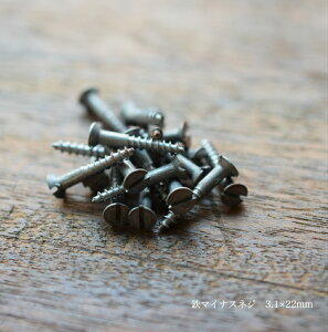 �ނ����� �S���M���}�C�i�X�l�W 6×3.1×22mm�i1��18�{���j