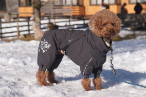 tBh̃hbOuhyHurttazytb^zjŋx̖hI[o[I[yGNXg[I[o[I[z^p