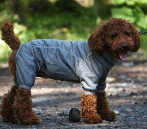 _119:59}f|Cg10{^tBh̃hbOuhyHurttazytb^zEhbOI[o[I[y{fBEH[}[zE^p