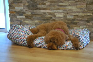 �_26��9:59�}�f���|�C���g10�{�^�Z�[�������y���������z�yMr.mac�z�y�y�b�g�x�b�h�z�A���t�@�x�b�g���y�y�b�g�N�b�V�����z�y�y�b�g�x�b�h�z�~�X�^�[�}�b�N �N�b�V���� �x�b�h �y�b�g�N�b�V