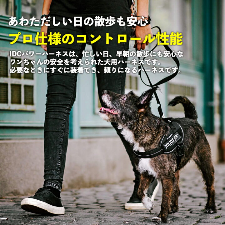 楽天市場】【JULIUS-K9正規品取扱店】ポイント10倍！4月10日9:59まで  