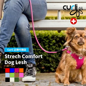 XCX̍hbOuhyCurliz J[[ Xgb`RtH[ghbO[h