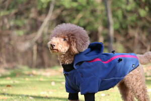 [Hakusan]|[ebNt[X̗ptBbgQ́yhSt[XWPbgz