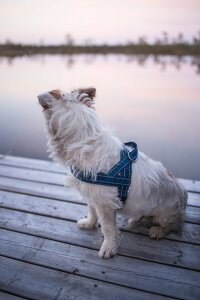 yJWAV[YztBh̃hbOuhyHurttazytb^zET^NbVn[lX