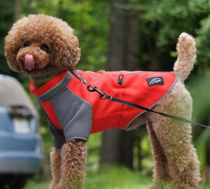 _179:59}f|Cg10{^[Hakusan]IWihbOWPbgy}EeEH[}[zE^pTCY