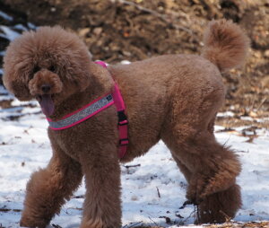 _119:59}f|Cg10{^n[lX  pn[lX Hakusan nNT RtH[gWXgtBbgn[lX ^ ^ ^ Ȃ EȂ SȂ NbV U 