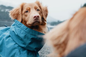 yHurttazytb^zECR[guX[R[gv ^p