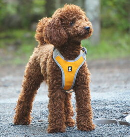 楽天市場 犬 ハーネス ブランドの通販