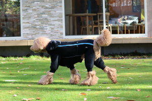 _179:59}f|Cg10{^[Hakusan]|[ebNt[X̗ptBbgQ́y[t[XI[o[I[zE^pTCY