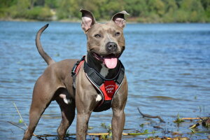 _179:59}f|Cg10{^yJULIUS-K9Ki戵XzyIŃxv[gzyzyJulius-K9zEXP[iCEIDCOEH[Nn[lX XS`STCY@E^pT