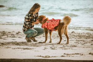 犬用 フルッタ 大型犬 ペット服の人気商品 通販 価格比較 価格 Com