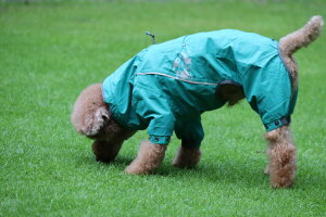 _119:59}f|Cg10{^ CR[g Hurtta tb^ }bhx`[I[o[I[GR ₷ ^ ^   ~ H~ h ybgEFA  h J Jbp A