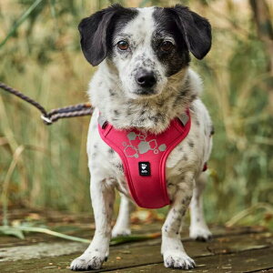 tBh̃hbOuhyHurttazytb^zEEH[An[lX2GR