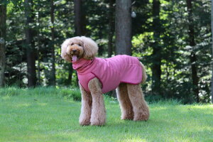 tBh̃hbOuhyHurttazytb^zEY_YV[Yu~bhC[v`^p