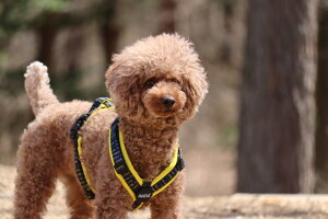 yRatiazyfUCX^WI eBAzkfUCE[n[lXEeBA