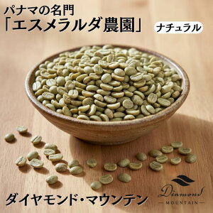 y10%N[|zzC[OXӍPő91{z ʌ pi} GX__ _Ch}Ee Natural i`  1kg 5kg 10kg 23kg XyVeBR[q[ 