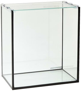 �s�I���t�R�g�u�L�H�| ���O���X�t���b�g F�|250S/B �u���b�N�V���R�� 25cm�����i�P�́j ����l�l2�_����