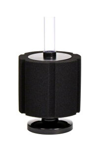 J~n^ I oNgT[W X|WtB^[ LTCY