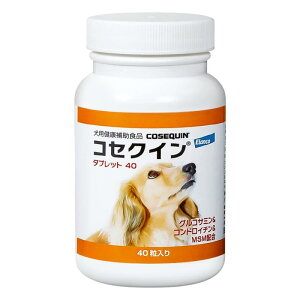 �o�C�G�� �R�Z�N�C�� �^�u���b�g 40 40��/�{�g��