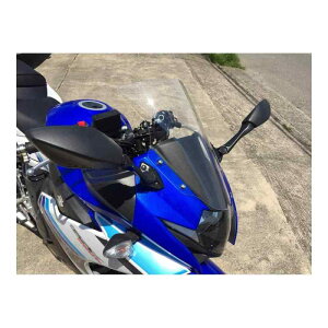 AN|Cg(ACRY-Point) XN[ Xg[g GSX250R 17