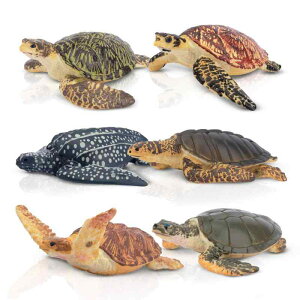 TOYMANY tBMA 6PCSJtBMA CmZbg Aȓ͌^ JD lC  ߋ av[g NX}X VN 蕨 RNV 6Έȏ