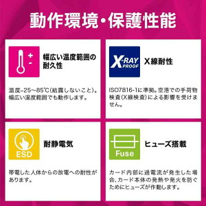 KIOXIA(�L�I�N�V�A)���{��SD�J�[�h