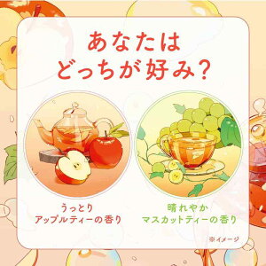 A  A\[g t[ceB[ZNg 12 Y_ Y ێ Y_ Y_ou lߍ킹 bNX A}L[v