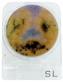 日水製薬 コンパクトドライ 生菌数測定用培地 食品検査 衛生管理 微生物検査 簡易培地 一般生菌 迅速 手軽 簡単 安全 高感度 HACCP対応 食品加工 工場 厨房 飲食店 研究室 学校 実験室 衛生対策 ドライシート シートタイプ 4枚/袋 10袋入 持ち運び便利 プロ仕様