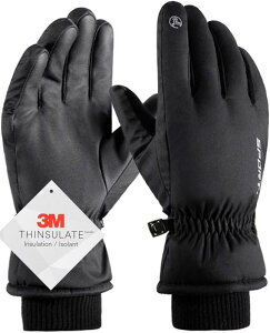 [] XL[O[u Y Xm{ O[u fB[X XL[  3MVT[g X}zΉ h H ~ ʋ ʊw TCYI