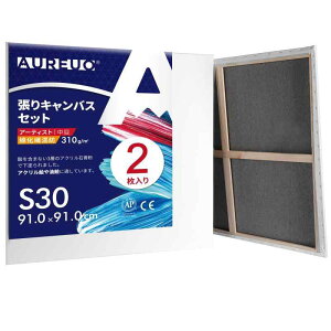 綿化繊混紡 張りキャンバス S型 - 中目布? 水彩画・油絵画・アクリル兼用 - モダンアート・ポップアートに最適