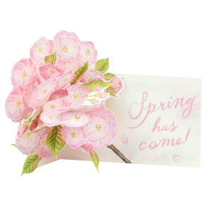 グリーティングライフ 桜 カード ポップアップ 八重桜 LY-30