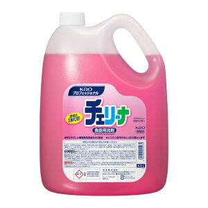 e ԉvV[Y(Kao Pro Series) P[X̔ ԉ `F[i 4.5L ̔p Ɩp Hp ԉvtFbViET[rX