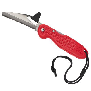 p[(Palm) tH[fBOiCt [Folding Knife] bh 11479