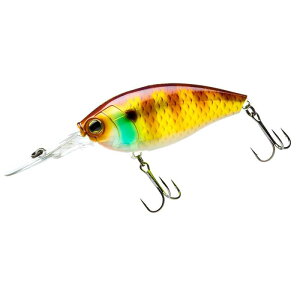 DUEL ( fG ) A[ NNxCg ARDCORE CRANK 3+ 70F oXނ ދ ނ Cނ W V[oX