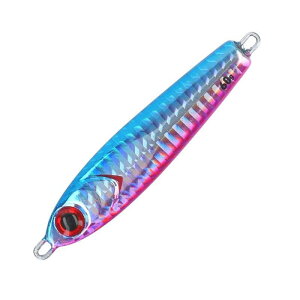 _C(DAIWA) [P[X ނj xC^^ 10{