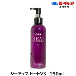 W[Abv q[g V3 250ml G-UP HEAT V3@wAPA g[gg eꔄi P